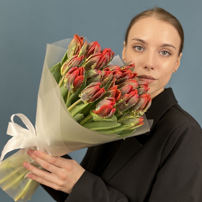 21 красный тюльпан с желтым краем попугай Рококо