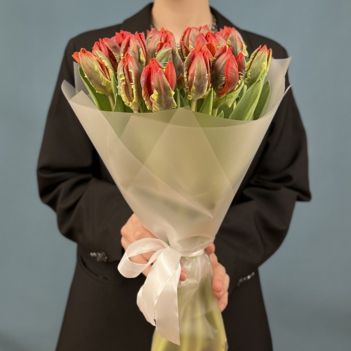 21 красный тюльпан с желтым краем попугай Рококо