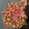25 кустовых пионовидных роз Фенси Блоссом 50 см