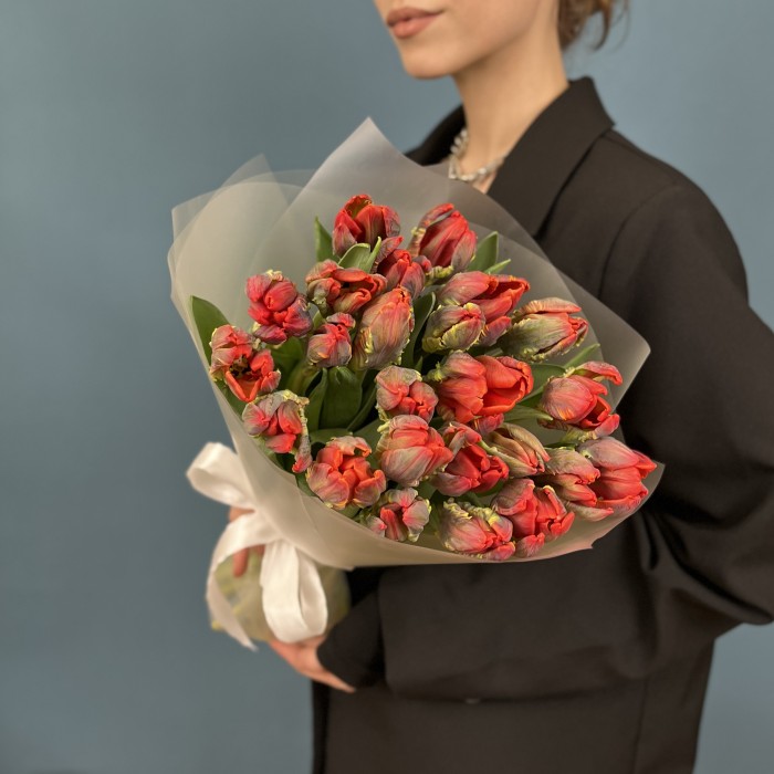 25 тюльпанов красных с желтым краем Попугай Рококо