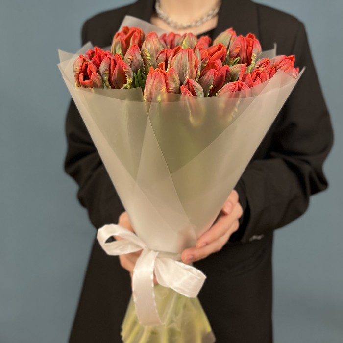 25 тюльпанов красных с желтым краем Попугай Рококо