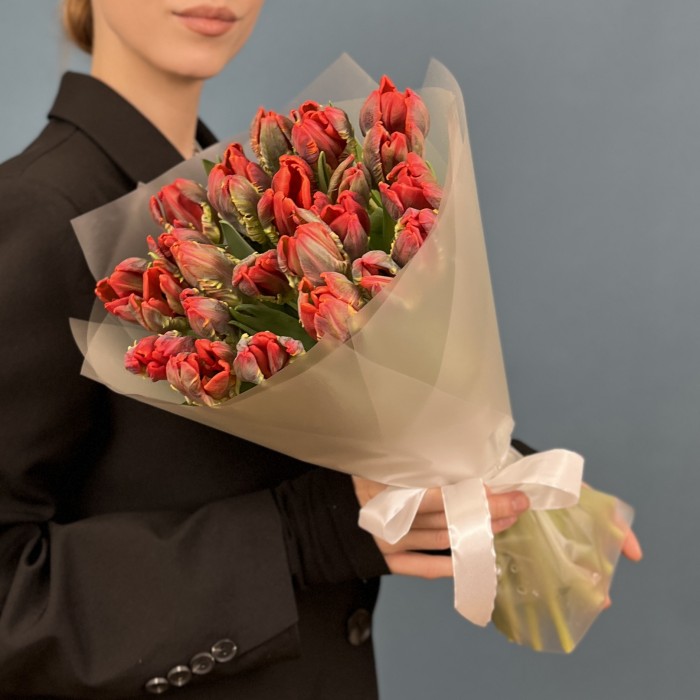 25 тюльпанов красных с желтым краем Попугай Рококо