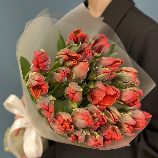 25 тюльпанов красных с желтым краем Попугай Рококо