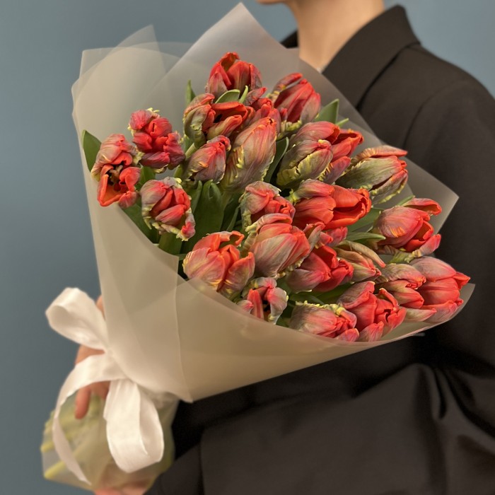 25 тюльпанов красных с желтым краем Попугай Рококо