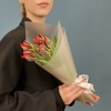 5 красных тюльпана с желтым краем Попугай Рококо