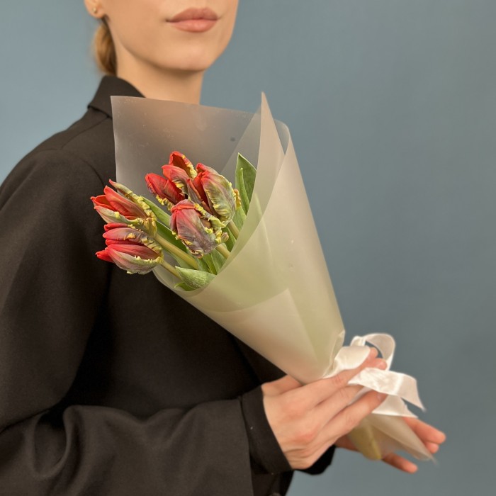 5 красных тюльпана с желтым краем Попугай Рококо