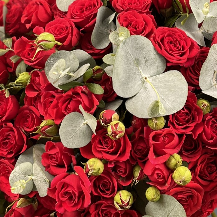 51 кустовая красная роза Рубикон 40 см