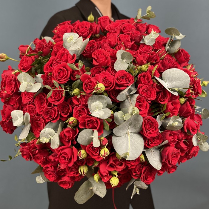 51 кустовая красная роза Рубикон 40 см