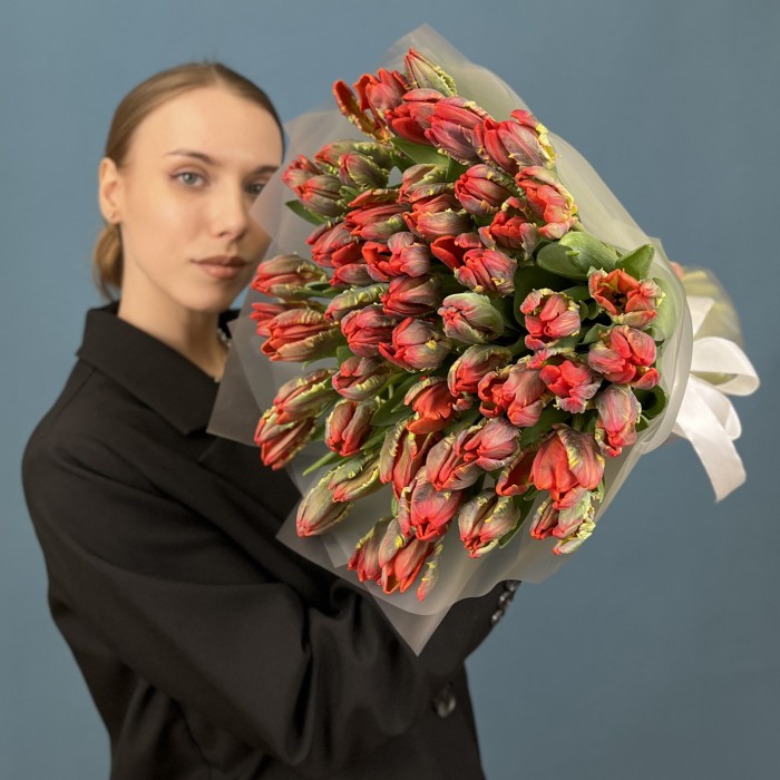 51 тюльпан красный с желтым краем попугай Рококо