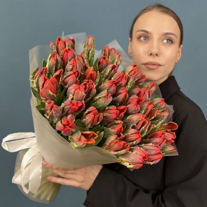 51 тюльпан красный с желтым краем попугай Рококо
