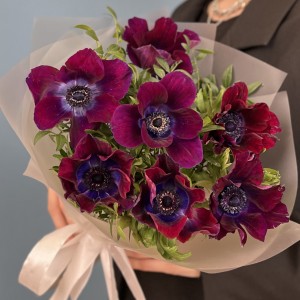 7 фиолетовых анемонов