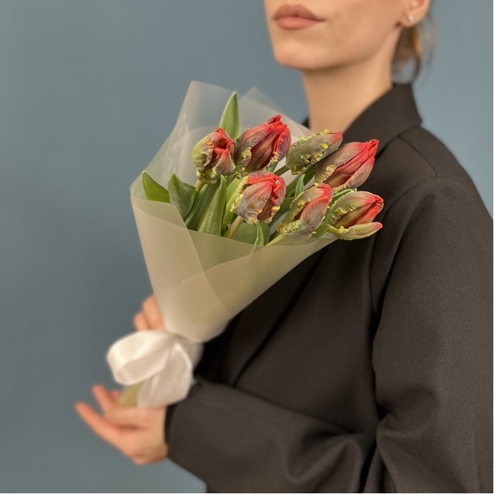 7 тюльпанов красных с желтым краем попугай Рококо