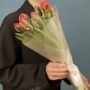 7 тюльпанов красных с желтым краем попугай Рококо
