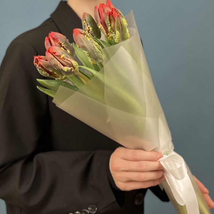 7 тюльпанов красных с желтым краем попугай Рококо