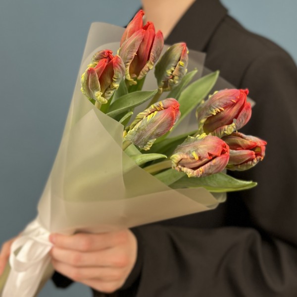 7 тюльпанов красных с желтым краем попугай Рококо