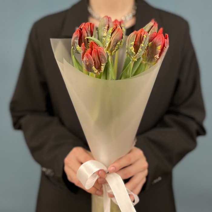 9 тюльпанов красных с желтым краем Попугай Рококо