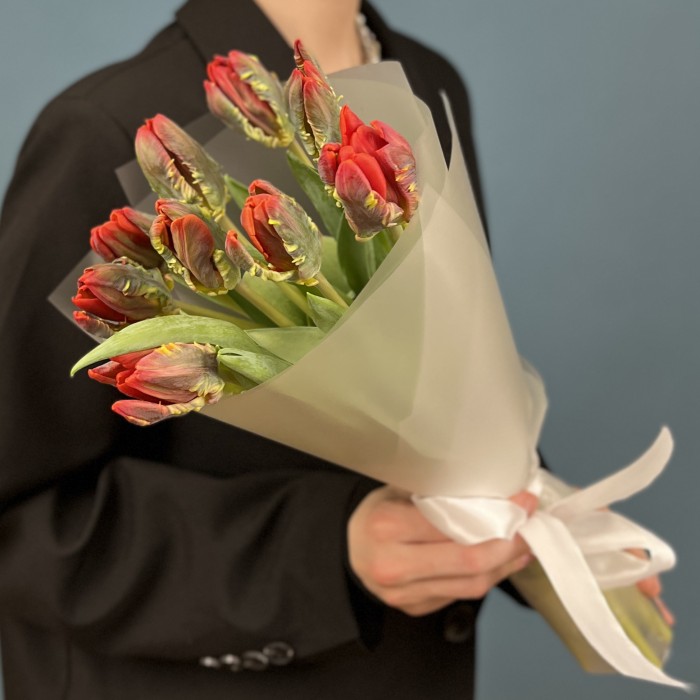 9 тюльпанов красных с желтым краем Попугай Рококо