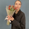 9 тюльпанов красных с желтым краем Попугай Рококо
