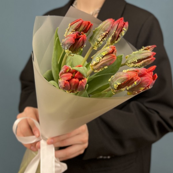 9 тюльпанов красных с желтым краем Попугай Рококо