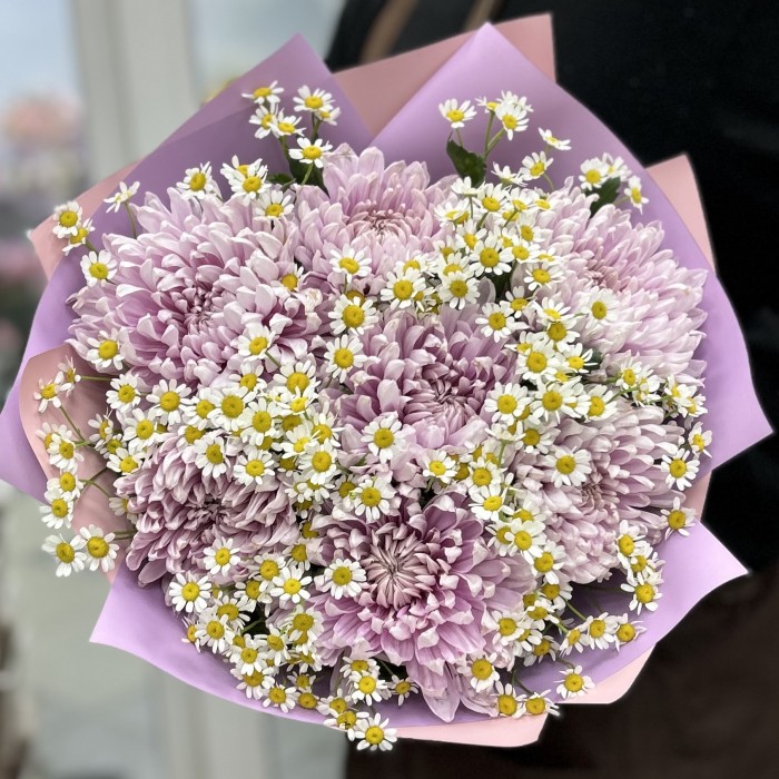 7 сиреневых хризантем с ромашкой
