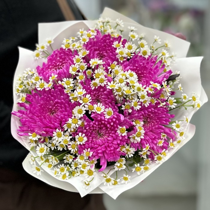 7 малиновых хризантем с ромашкой
