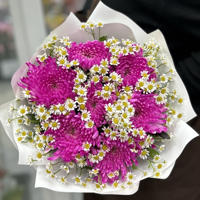7 малиновых хризантем с ромашкой