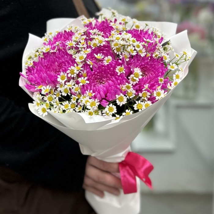 7 малиновых хризантем с ромашкой