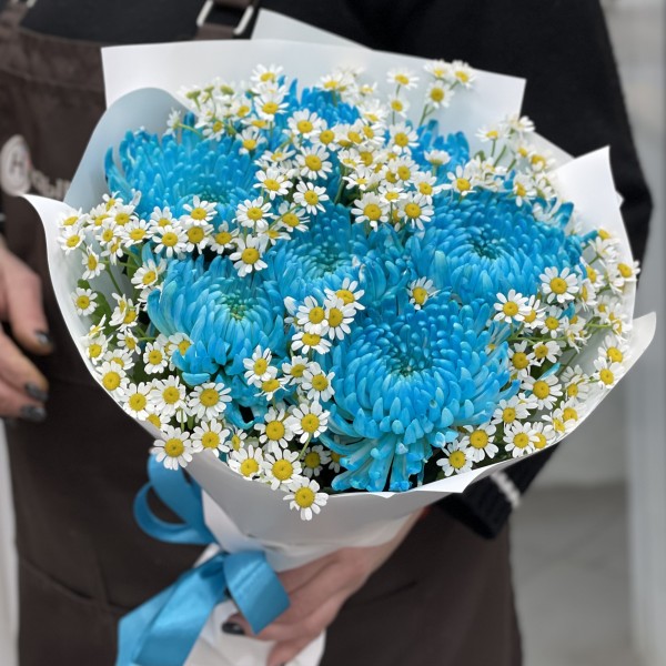 7 бирюзовых хризантем с ромашкой
