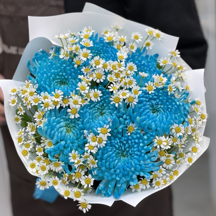 7 бирюзовых хризантем с ромашкой