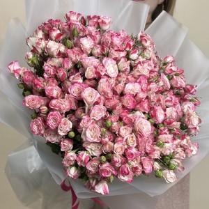 51 кустовая розовая роза Рефлекс 50 см
