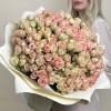 51 кремово-розовая кустовая роза Азор 40 см