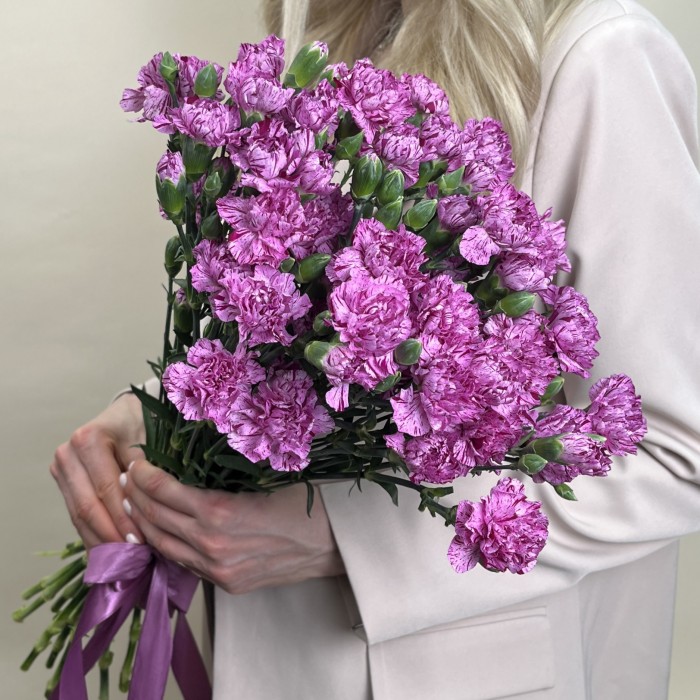 Гвоздика сиреневая с фиолетовой каймой