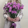 Гвоздика сиреневая с фиолетовой каймой