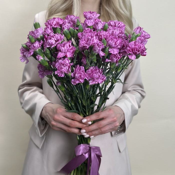 Гвоздика сиреневая с фиолетовой каймой