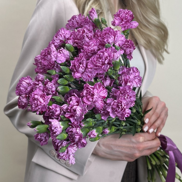 Гвоздика сиреневая с фиолетовой каймой