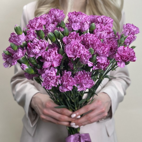 Гвоздика сиреневая с фиолетовой каймой