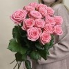 15 пионовидных роз Софи Лорен 60 см