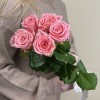 5 пионовидных роз Софи Лорен 60 см