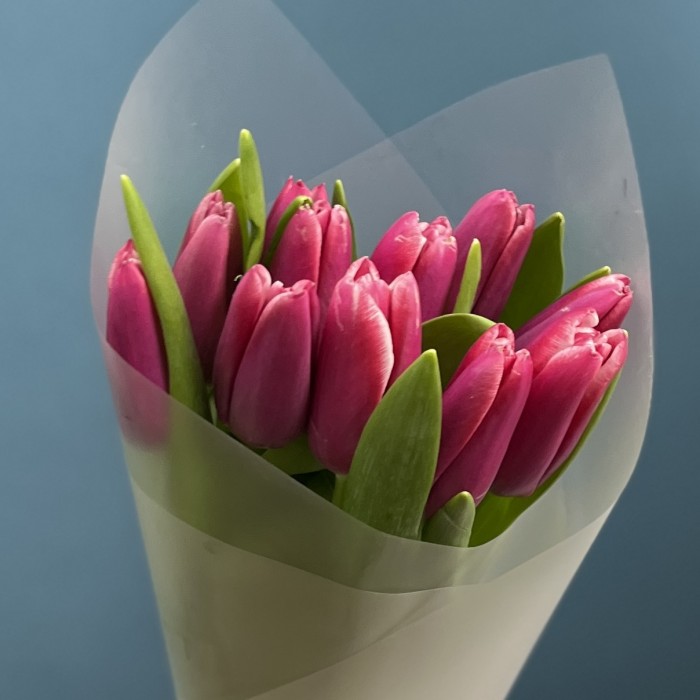 11 малиновых тюльпанов Фёрст Стар