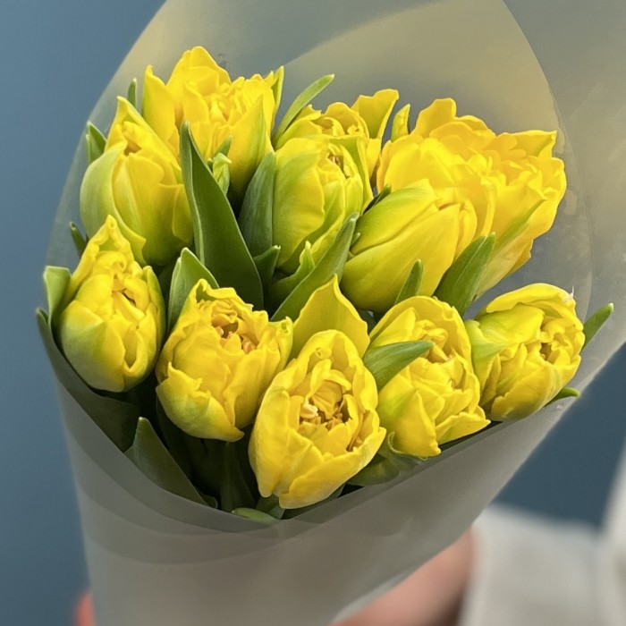 11 желтых пионовидных тюльпанов Маргарита
