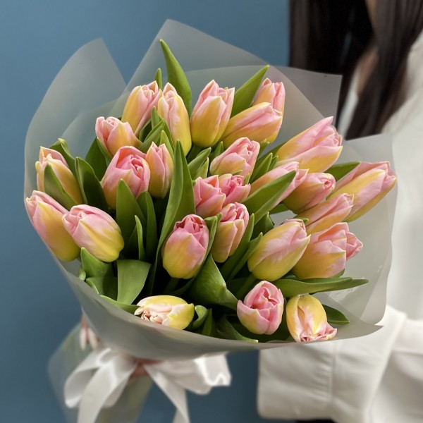 25 розовых тюльпанов Династия