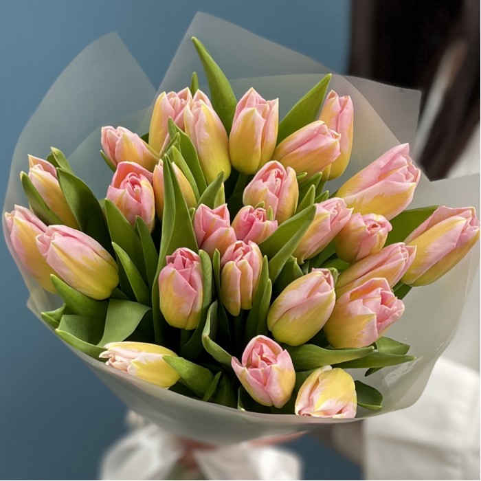 25 розовых тюльпанов Династия