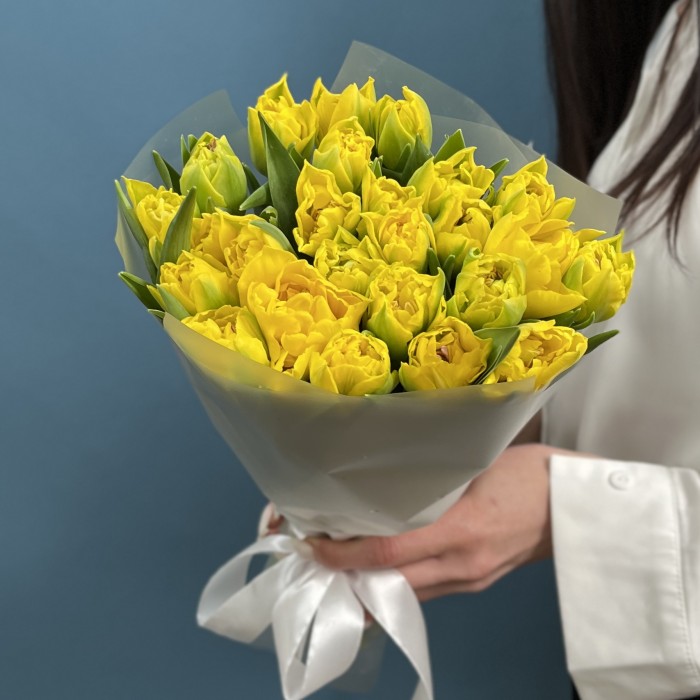 25 желтых пионовидных тюльпанов Маргарита