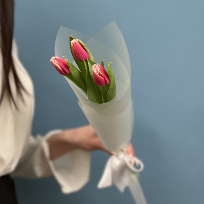 3 махровых тюльпанов Нью Санта