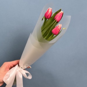 3 махровых тюльпанов Нью Санта