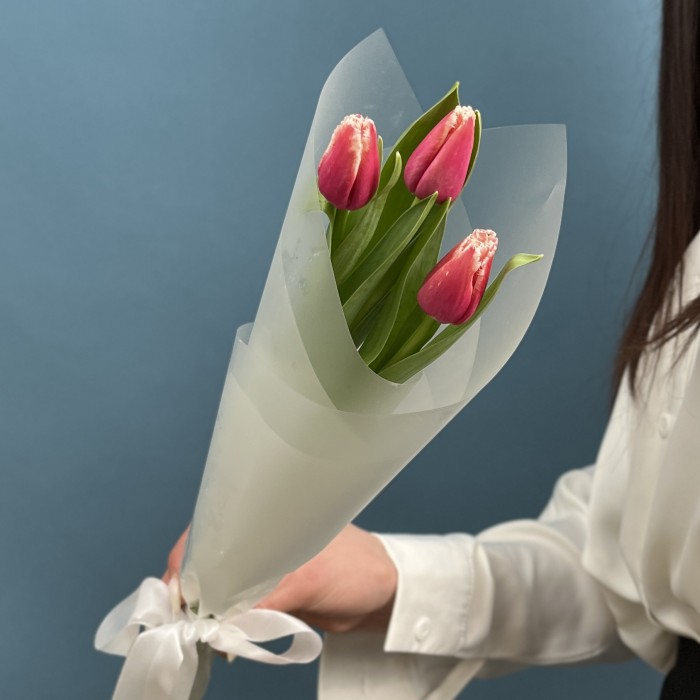 3 махровых тюльпанов Нью Санта