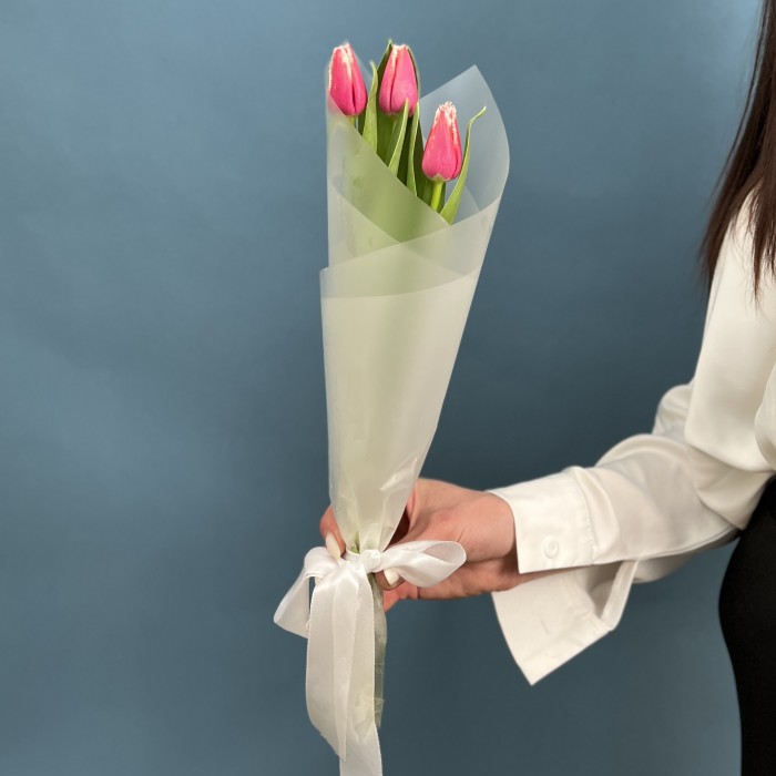 3 махровых тюльпанов Нью Санта