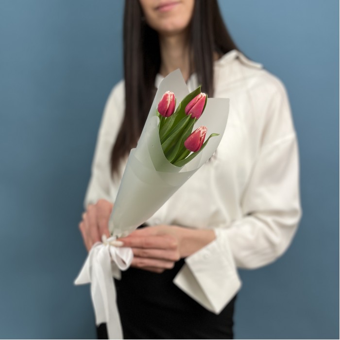 3 махровых тюльпанов Нью Санта