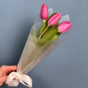 3 малиновых тюльпана Фёрст Стар