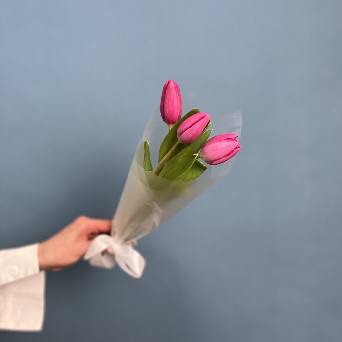 3 малиновых тюльпана Фёрст Стар